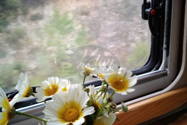 2024 Yapımı 4 Kişilik, Kiralık Motokaravan #1718